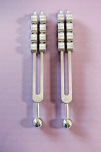 Load image into Gallery viewer, Brain Sound