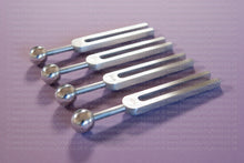 Load image into Gallery viewer, Nucleic Sound