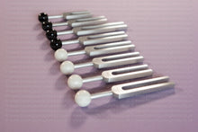 Load image into Gallery viewer, Extra Vessels (Acu Sound)