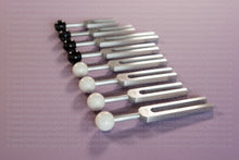 Load image into Gallery viewer, Extra Vessels (Acu Sound)