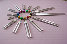 Load image into Gallery viewer, Acu Sound (Principle Meridians)