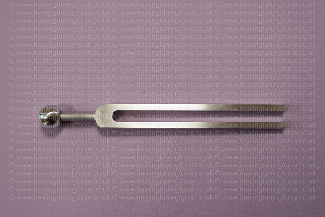 Single Tuning Fork